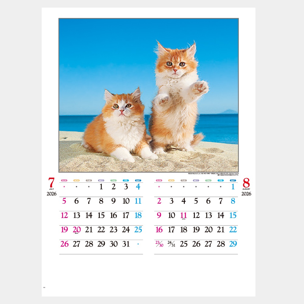 IC201H�����襤��ǭ����������1��̾���������