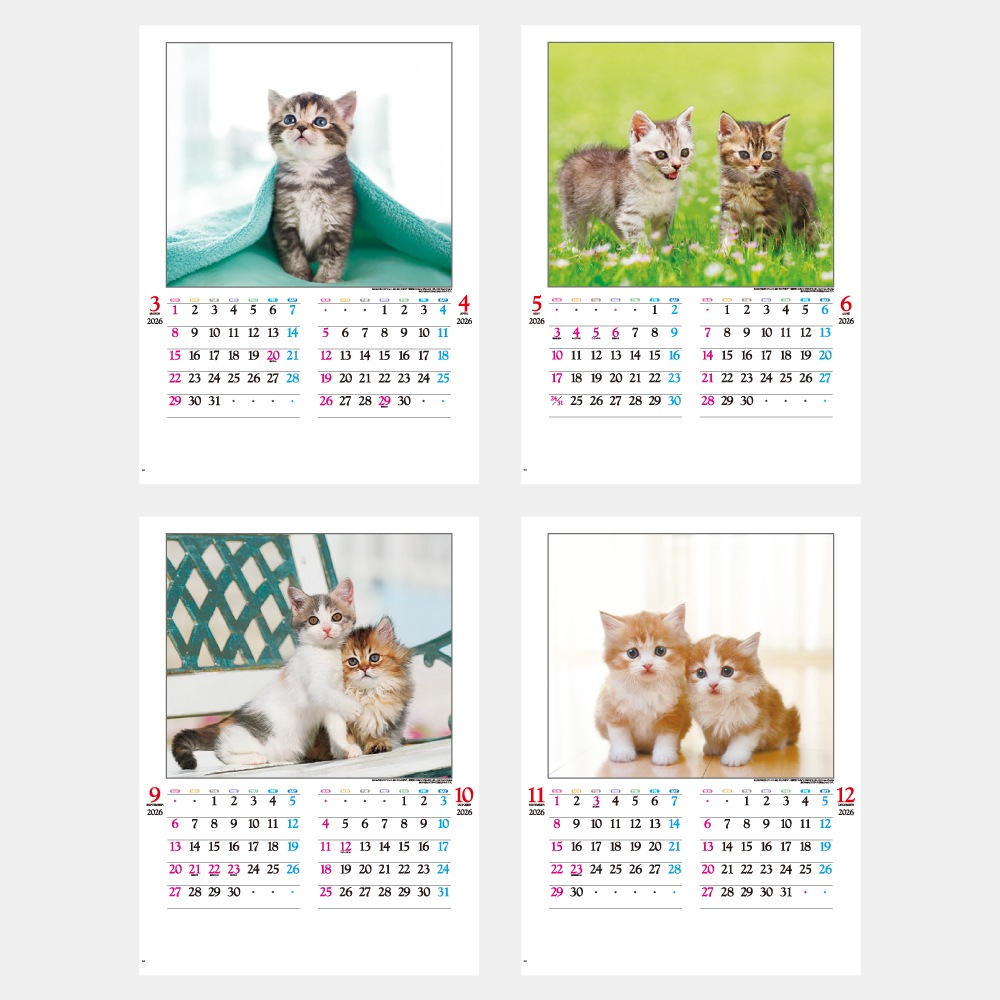 IC201H�����襤��ǭ����������1��̾���������