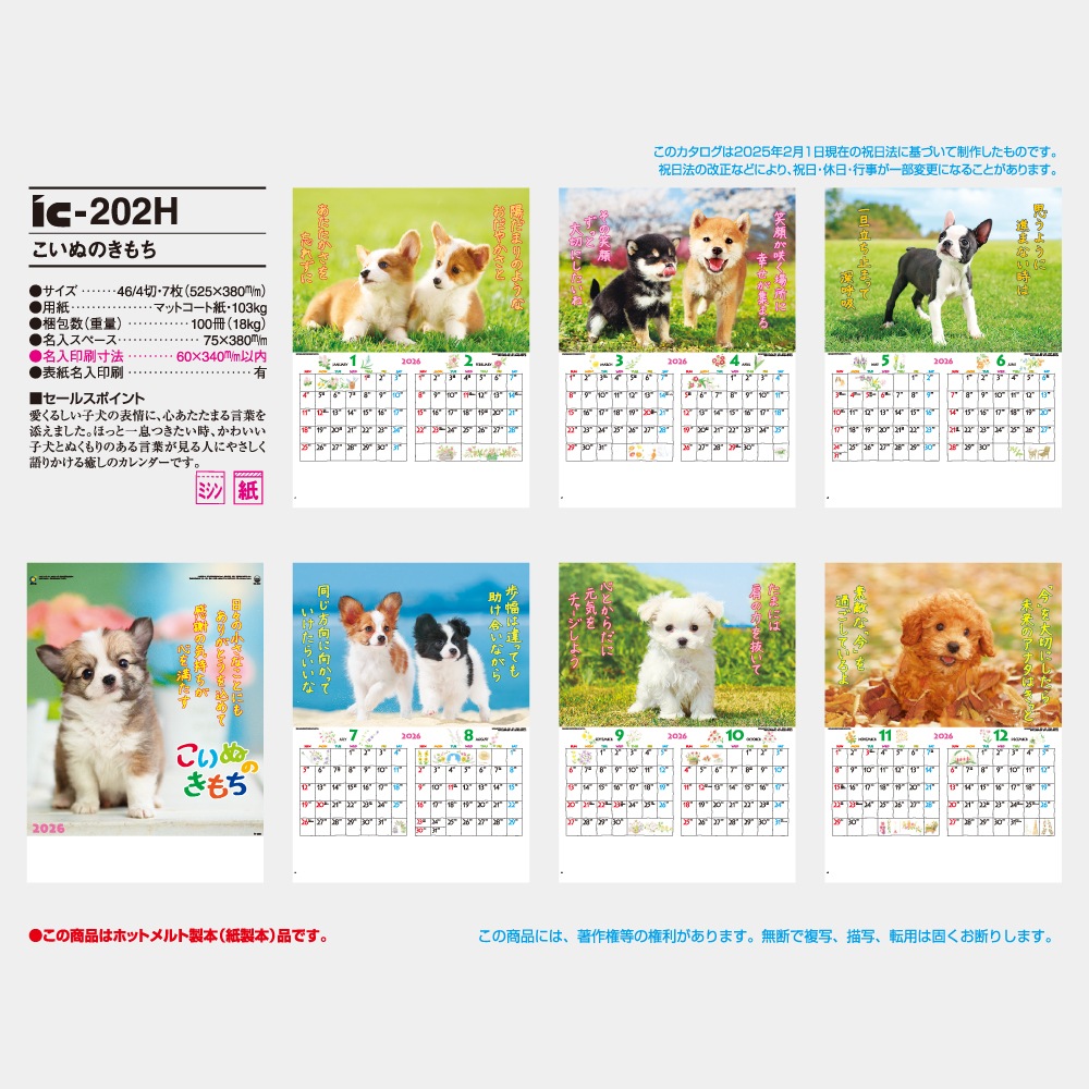 IC202H̤Τ1̾ۥåȥܡ