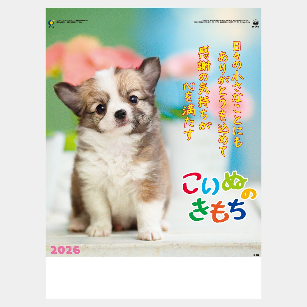 IC202H̤Τ1̾ۥåȥܡ