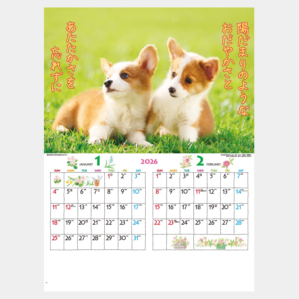 IC202H̤Τ1̾ۥåȥܡ