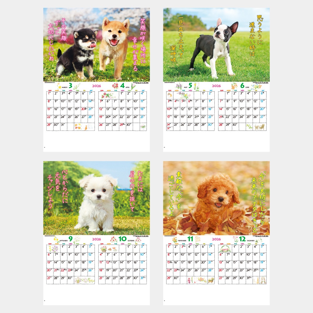 IC202H̤Τ1̾ۥåȥܡ