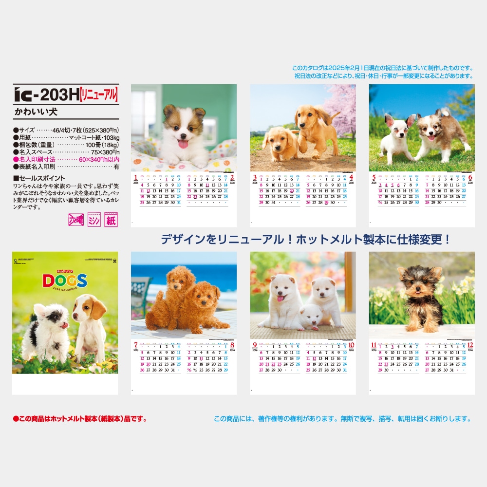 IC203H�����襤��������������1��̾����������ۥåȥ������ܡ�