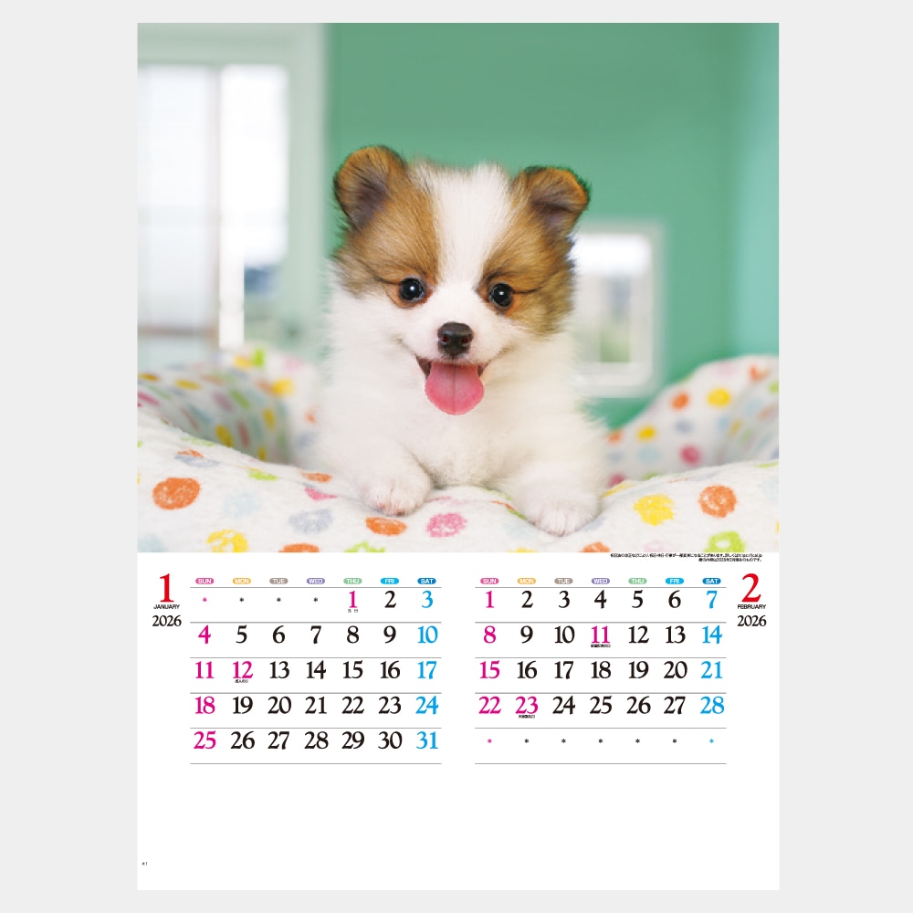 IC203H�����襤��������������1��̾����������ۥåȥ������ܡ�