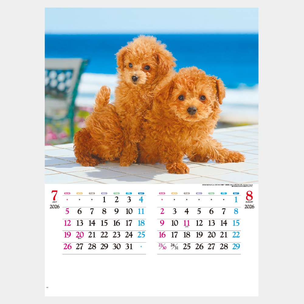 IC203H�����襤��������������1��̾����������ۥåȥ������ܡ�