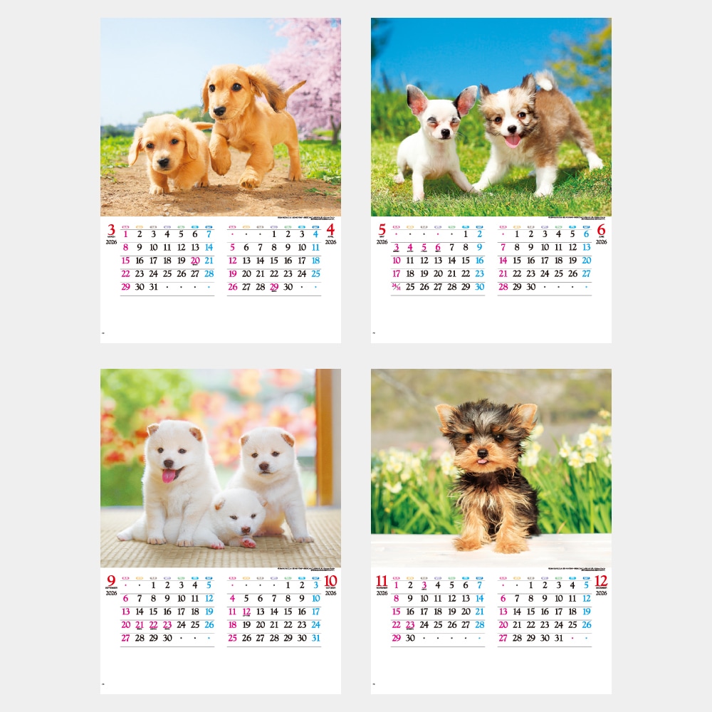 IC203H�����襤��������������1��̾����������ۥåȥ������ܡ�