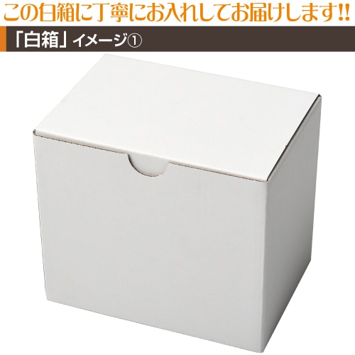 ���֤��ΡڥХ����顼�ۥޥ����å�