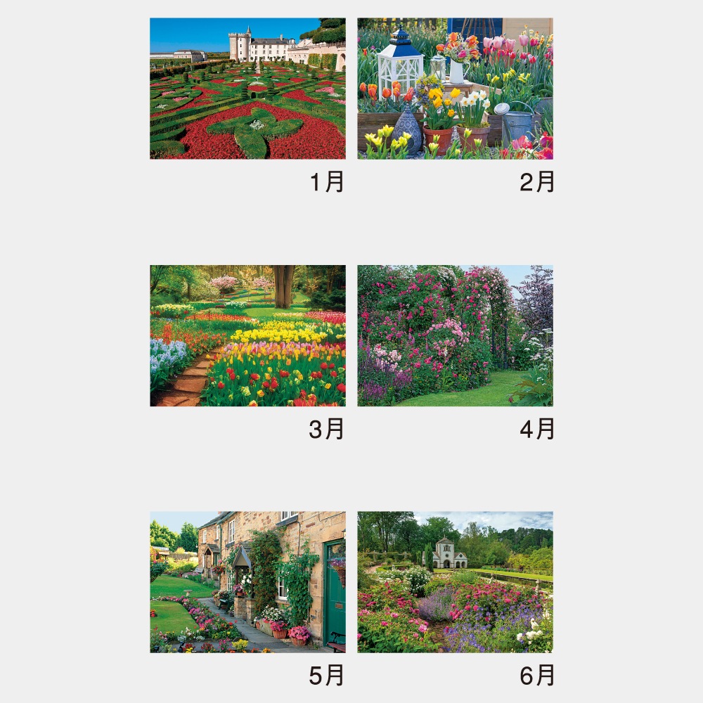 NK101 �����ǥ˥󥰡��ҥ�ȡ�1��̾����������ۥåȥ������ܡ�