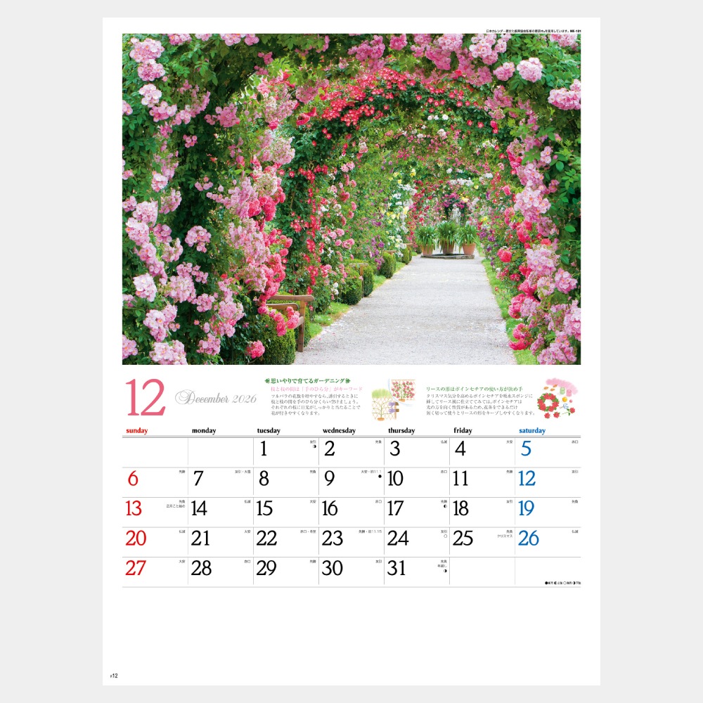 NK-101 ǥ˥󥰡ҥȡ1̾ۥåȥܡ