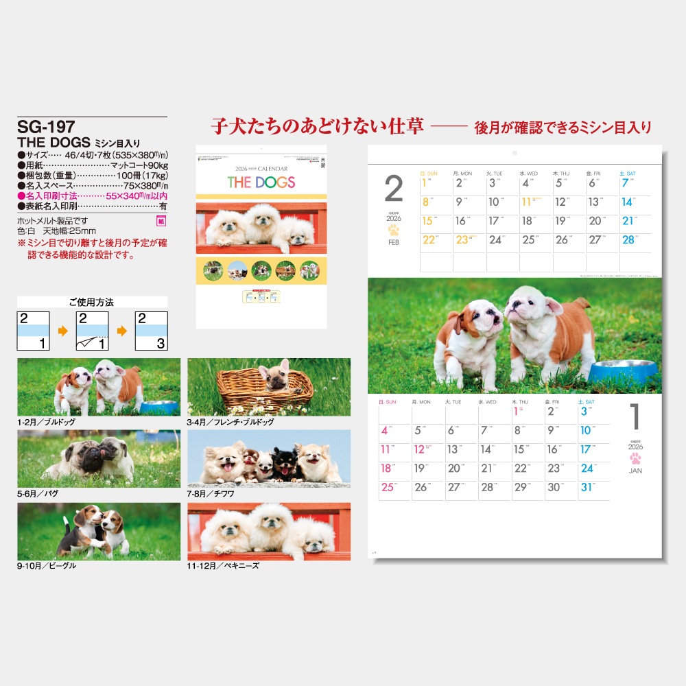SG-197 THE DOGS ߥ1̾ۥåȥȡ