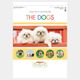 SG-197 THE DOGS ߥ1̾ۥåȥȡ