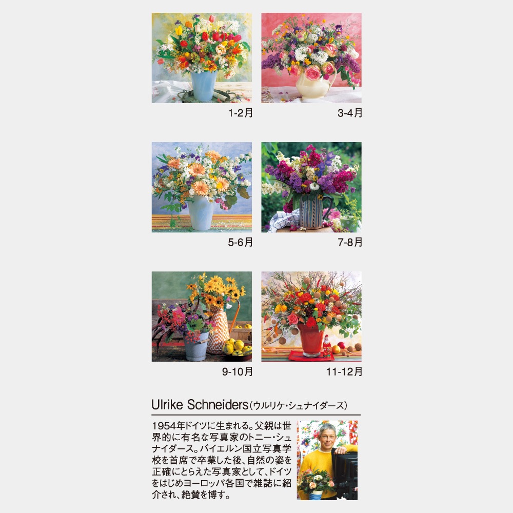 NK-47 ֤£ʪ1̾ۥåȥȡ