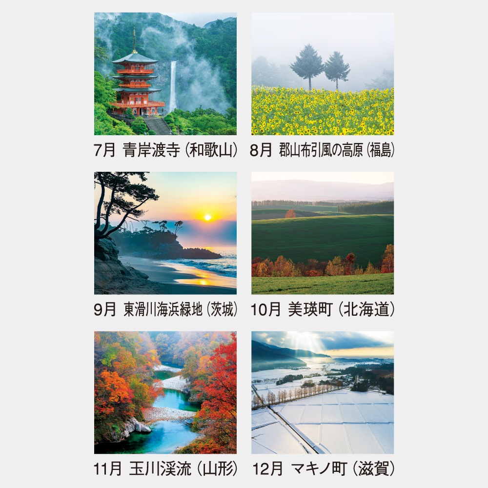 NK137�����ܤ�ī A2����������������1��̾����������ۥåȥ��ȡ�