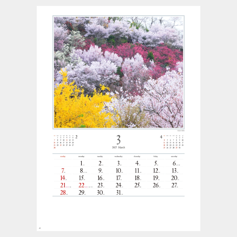 NK137�����ܤ�ī A2����������������1��̾����������ۥåȥ��ȡ�