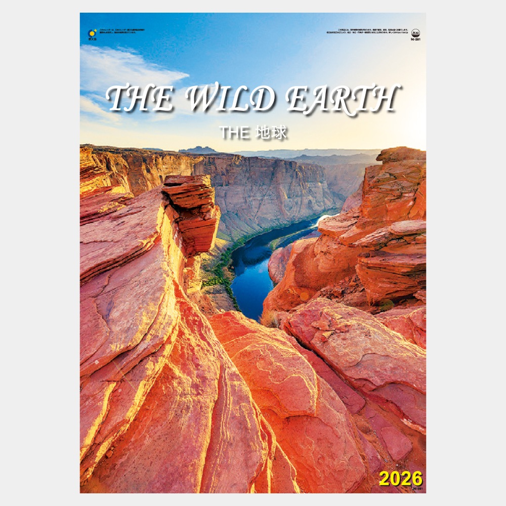 IC281��THE���ϵ�A2����������������1��̾���������