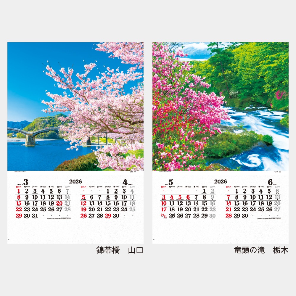 IC502���ե���� �������ʥ���������1��̾���������