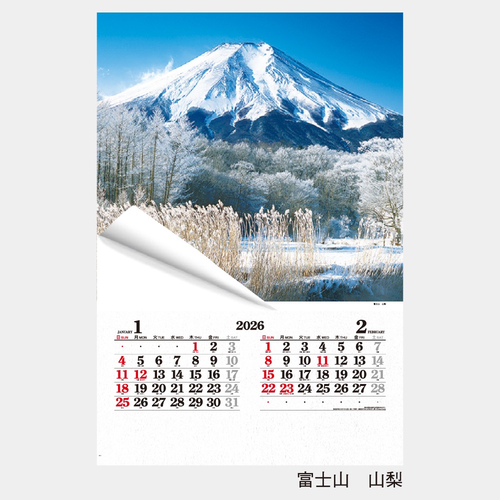 IC502���ե���� �������ʥ���������1��̾���������