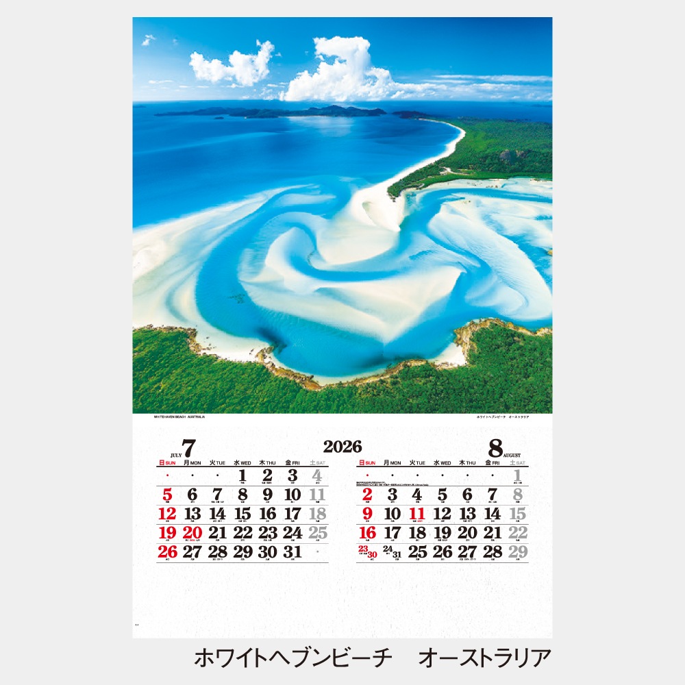 IC504���ե���� THE�ϵ奫��������1��̾���������