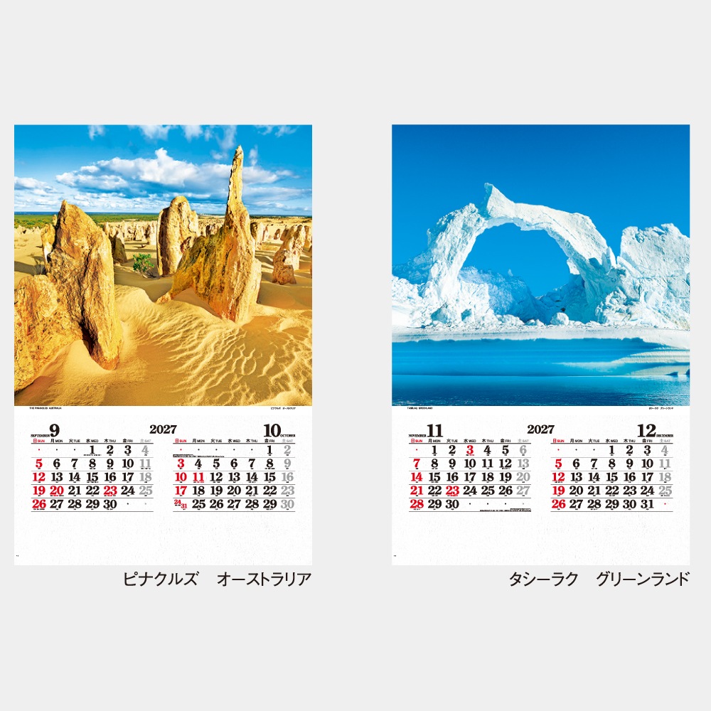 IC504H���ե���� THE�ϵ奫��������1��̾���������
