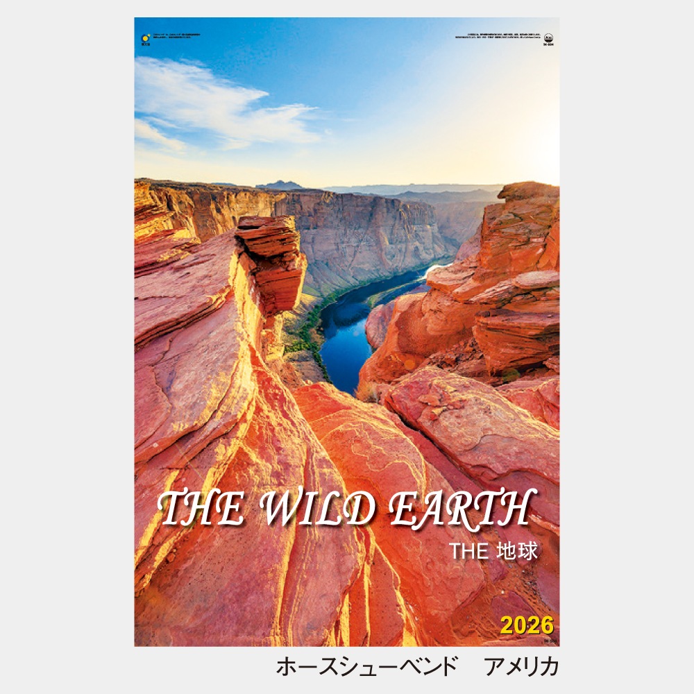 IC504���ե���� THE�ϵ奫��������1��̾���������