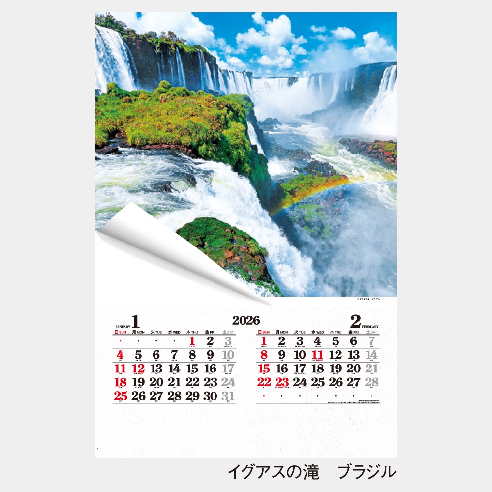 IC504���ե���� THE�ϵ奫��������1��̾���������