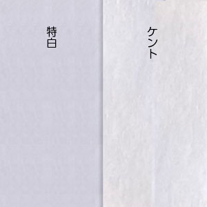 ���������̺���[�ե륪������]Ĺ3��������ʥ��顼������