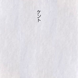 ���������̺���[�ե륪������]�η�������Ĺ3���������2��������