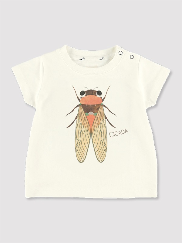 せみさんプリントTシャツ＜GOTS認証＞ ホワイト オーガニックコットン