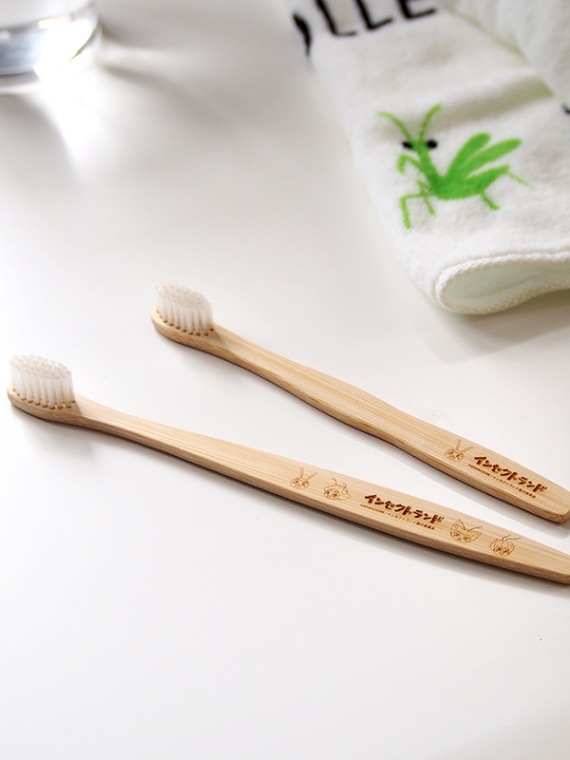 新商品/再入荷 - INSECT MARKET（インセクトマーケット） - 昆虫と学び  