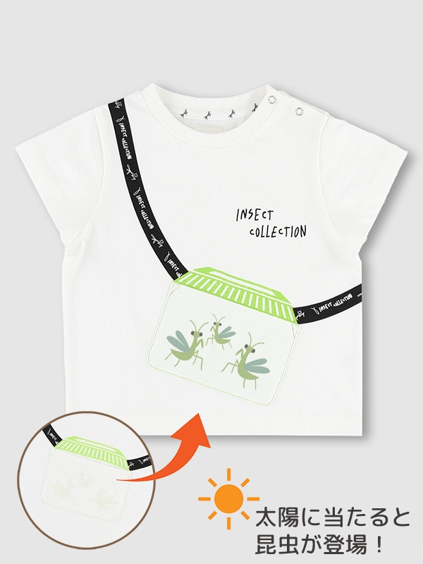 太陽に当たると昆虫ゲット！？虫かごTシャツ かまきりくん＜GOTS認証