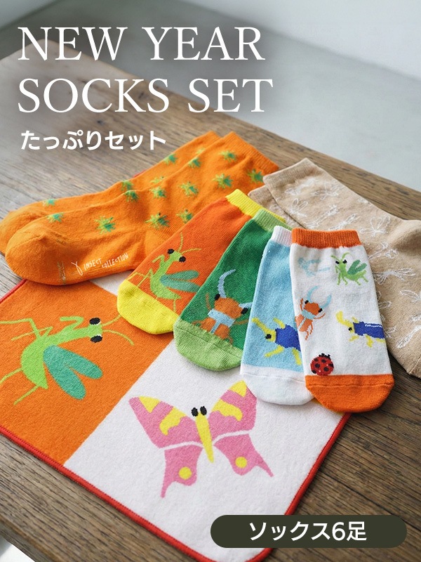 pan 様 韓国製 カラフルな刺繍ソックス おまとめ pan 様 韓国製 カラフルな刺繍ソックス おまとめ pan 様 韓国製