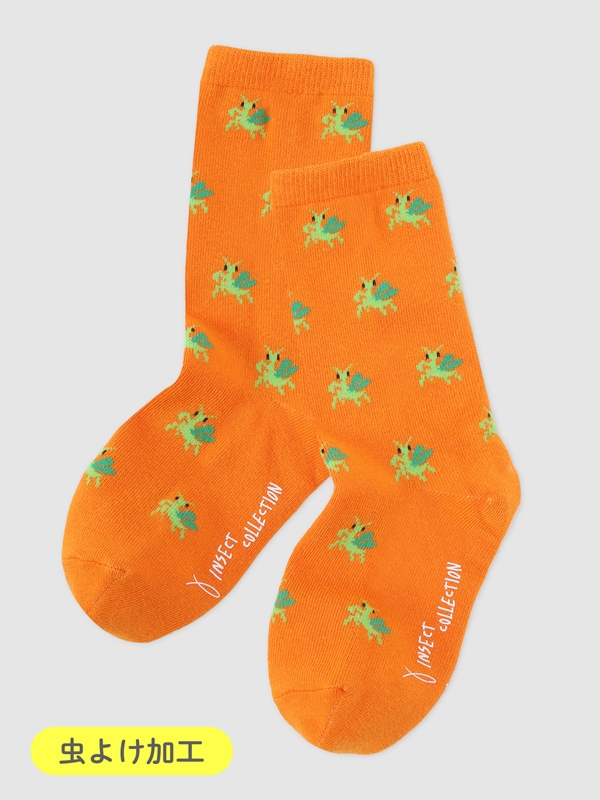 星屑さま専用 靴下とカチューシャ5点セット Vixen ライフスタイル 宙ソックス ペガスス座 | ビクセン Vixen