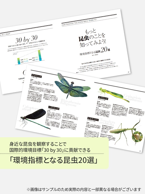 インセクトパーク公式図録『INSECT PARK JOURNAL』