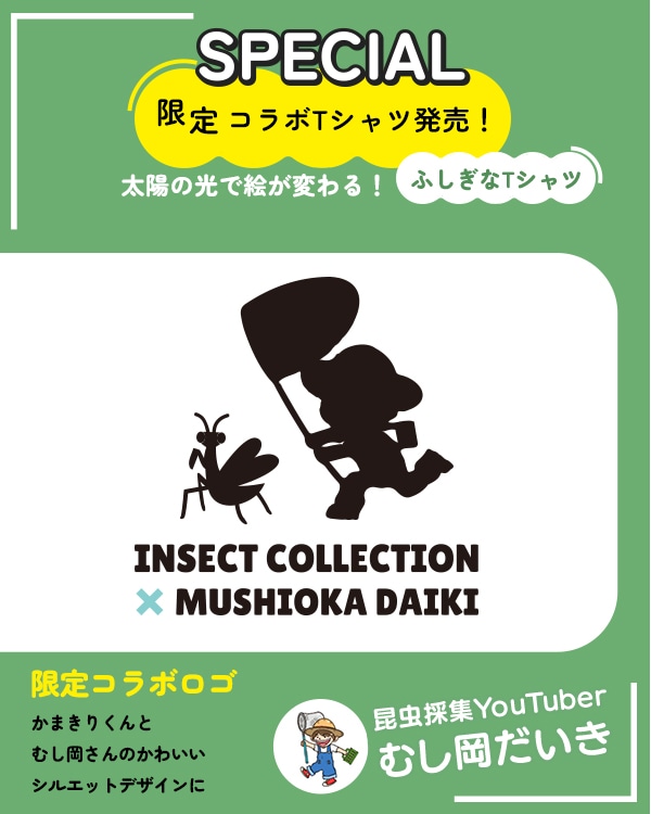 ★スペシャルコラボ★大人も！太陽に当たると昆虫ゲット！？虫かごTシャツ むし岡だいきコラボ