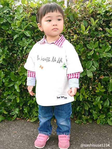 昆虫刺繍ワッペン