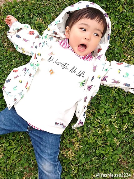 昆虫刺繍ワッペン