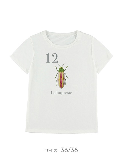 Otona Nombre プリント100 再生ペットボトルtシャツ タマムシ12 Blanc Insect Garden Insect Market インセクトマーケット