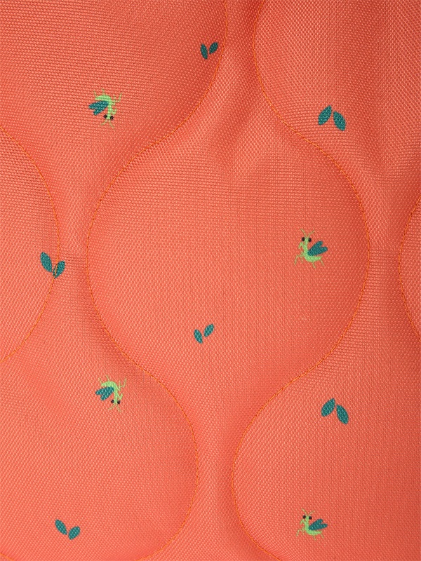 葉っぱに擬態？！かまきりくんレッスンバッグ（絵本袋） オレンジ