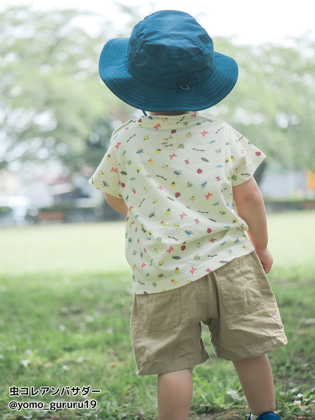 にぎやか昆虫大集合 Tシャツ＜GOTS認証＞
