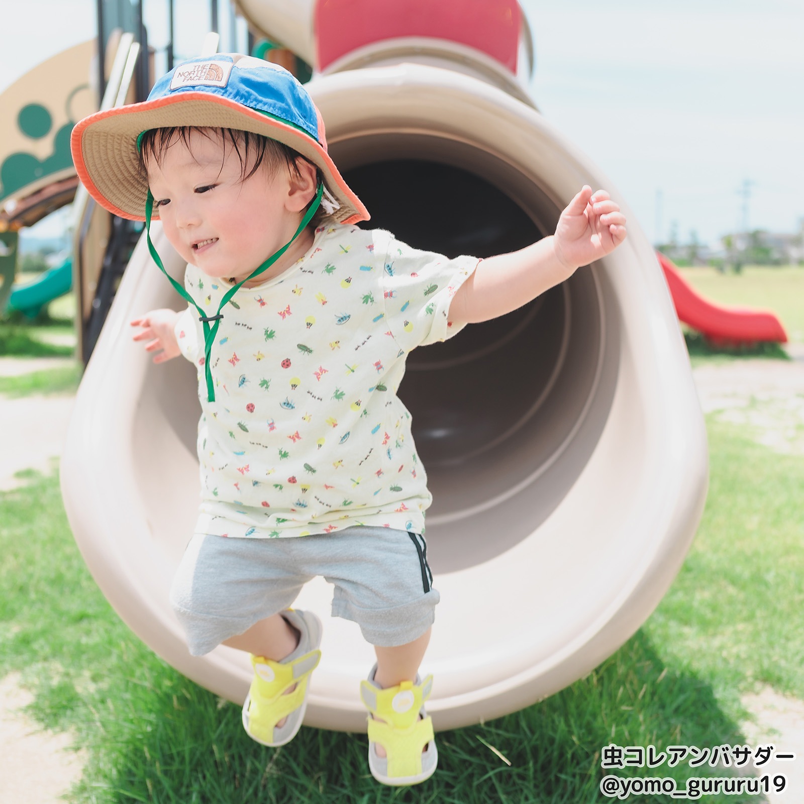にぎやか昆虫大集合 Tシャツ＜GOTS認証＞