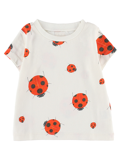 てんとうむしランダムドットtシャツ キッズ Insect Collection Insect Market インセクトマーケット てんとうむしランダムドットtシャツ キッズ Insect Collection Insect Market インセクトマーケット