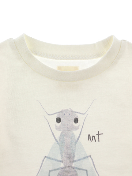 （Sサイズのみ）ありさんプリントTシャツ ホワイト キッズ オーガニックコットン使用