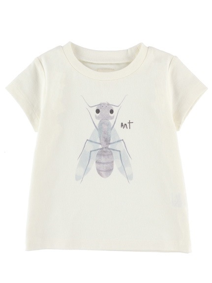 （Sサイズのみ）ありさんプリントTシャツ ホワイト キッズ オーガニックコットン使用