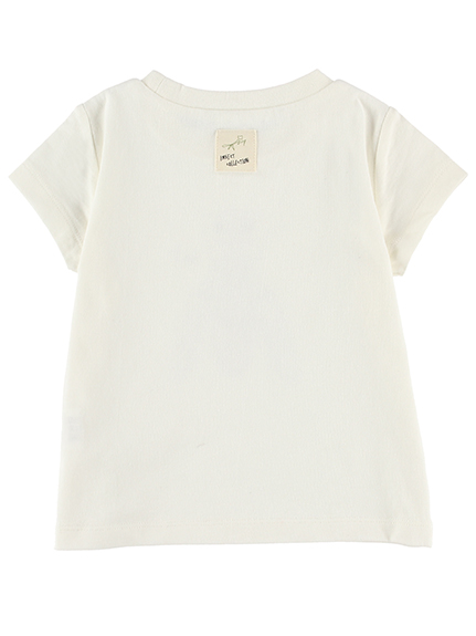 Seed and Soil オーガニックコットン Tシャツ フリーサイズ Seed and Soil オーガニックコットン Tシャツ フリーサイズ