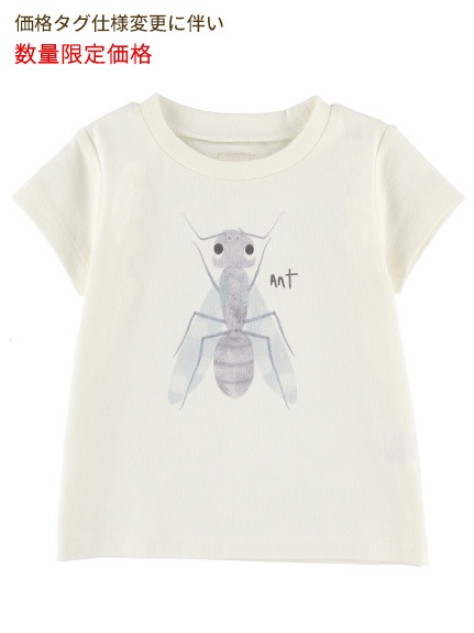 （Sサイズのみ）ありさんプリントTシャツ ホワイト キッズ オーガニックコットン使用