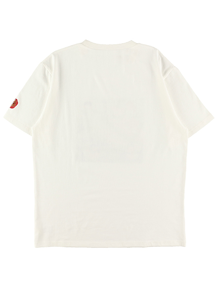大人も！学習帳（自由帳）付き！INSECT LANDの仲間たちキービジュアルTシャツ ホワイト オーガニックコットン使用