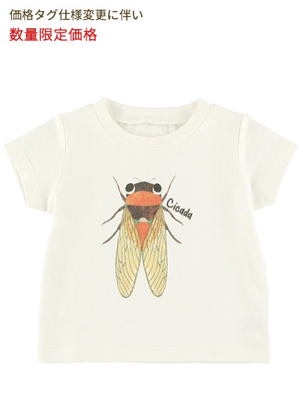 洗練されたデザイン◆Dime◆スキッド プリント コットン Tシャツ Sサイズのみ)せみさんプリントTシャツ ホワイト オーガニック
