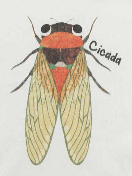 （Sサイズのみ）せみさんプリントTシャツ ホワイト オーガニックコットン使用