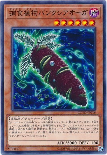 [COTD]ῩʪХ󥯥(Ρޥ)COTD-JP016