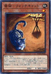 [FLOD]ǭ åå(Ρޥ)FLOD-JP028